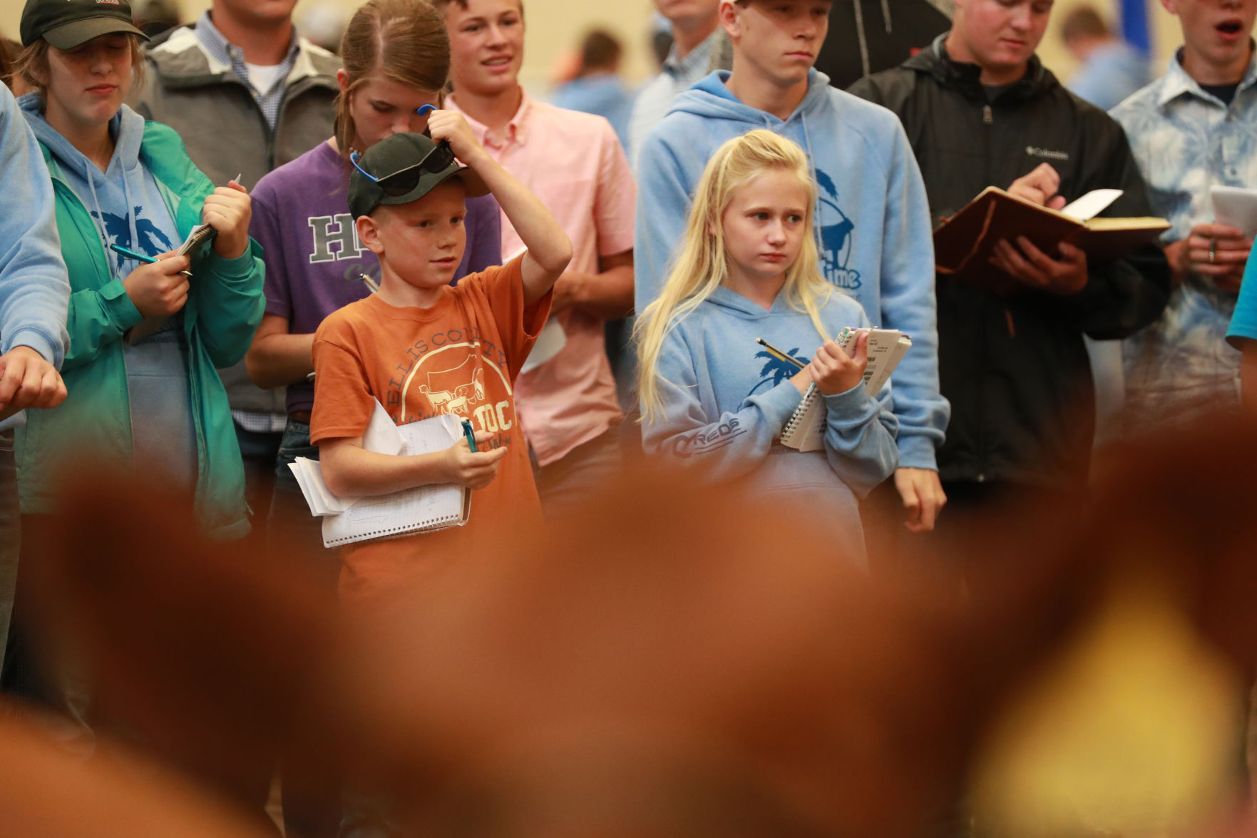 061819_RedAngusJudging02_bjs.JPG